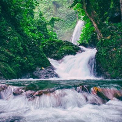 张雪峰去世后公司怎么办？峰学蔚来总经理：公司正常运营团队稳定
