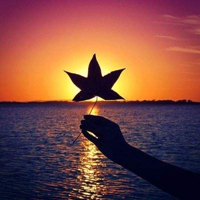 黄金暴跌 现在是入手时机吗